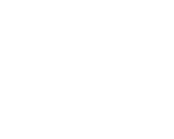 SLACKSTONE II Plus - Physics-Based Wellness Technology